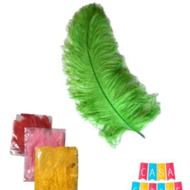 Plumas Grandes