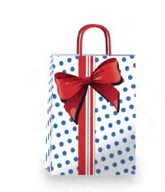 ROMIPACK BLUE BOW 22X30
